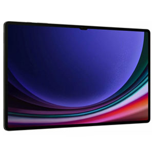 Планшет Samsung Galaxy Tab S9 Ultra (12/512)